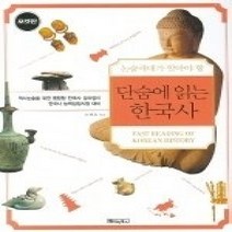 [개똥이네][중고-최상] 단숨에 읽는 한국사 - 논술세대가 알아야 할 (포켓판)