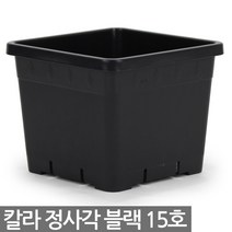 플라스틱 정사각화분 블랙 - 식물 칼라 플분 사각 화분 분배분 재배분 분갈이 인테리어 베란다 화분, 01_세인_칼라정사각_15호(검정)