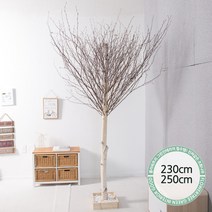 실내인테리어 인조나무 123종 / 플트 조화나무 C, C21.소원자작나무 230cmK/벽면형, 1개