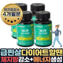 (호쌤마켓) 효과좋은 단기간 다이어트 필요할때 피하지방 내장지방 살빠지는 체지방분해 도움 식약처인증 카테킨 보조제 약 1달 살빼는 얼굴살 팔뚝살 허리 빼는법 줄이는법 도움, 4개월분