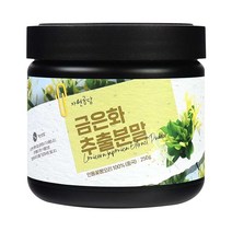 두손애약초 금은화추출분말, 250g, 1개