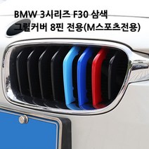 BMW M스포츠 3시리즈 F30 그릴 커버 몰딩, 1개