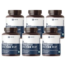 이루다 프로테오글리칸 연어코연골 추출물 정 비변성 2형 콜라겐, 6통, 360정