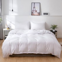 유럽 스타일 이불 커버 세트 2 개/3 개 두꺼운 기모 침구 겨울에 베개, [04] 260x230cm 3pc, [01] White