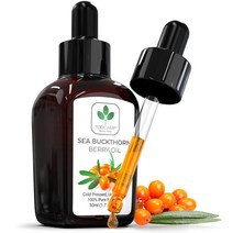 TODICAMP 토디캠프 오가닉 냉압착 씨벅톤 베리 오일 50ml