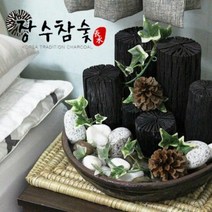 장수참숯 천연아이비가습기 숯 집들이선물 공기정화숯, 오너클랜법인flyspeck 본상품선택