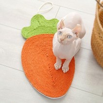 당근 매트 스크래쳐 벽걸이 고양이용품, 단품