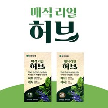 유한 매직리얼허브 10분대 허브염색약 새치커버, 2호 연한흑갈색