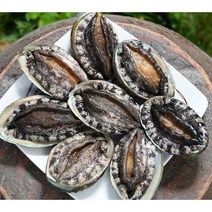 (설선물 친환경포장)명품4호 대전복 선물세트 1.5kg(1kg 12미~13미)+고급선물가방, 명품8호 1kg(9~10미)+선물포장, 특대전복