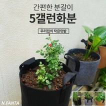 부직포 화분 식물 블루베리 키우기 5갤런 30x25 고구마 감자 블루베리 모종 키우기 베란다 텃밭 흙 담기 화분, 1화분5갤런-블랙