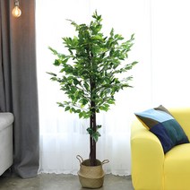 조아트 인조나무 조화나무 실내조경 인테리어 아레카야자 몬스테라 향나무 드나세나, 킹벤자민 180cm, 1개