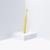 브라이트 음파전동칫솔 (Bright Vibration Toothbrush), 그린