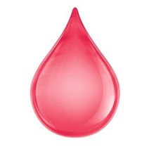 자운고인퓨즈드 캐리어오일, 500ml