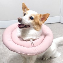 빌리네집 반려동물 UFO 우주선 넥카라 넥쿠션, 핑크M
