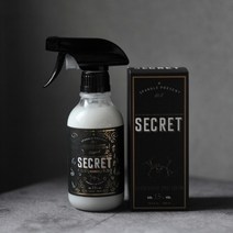 [스팽글] 시크릿 스프레이 코팅제 300ml, 1개