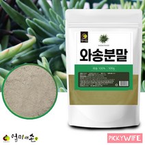 국산 와송분말 500g 자연산 생와송 가루 파우더 와송차 요거트 홈쇼핑 실속형 대용량