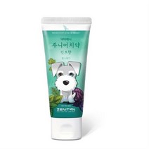 제니튼 주니어 치약 민트향, 22개, 60g