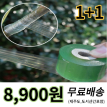 접목테이프(투명) 1+1 (2개 제주도 도서산간지역포함