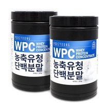 퓨어영 WPC 유청단백질 농축분말 300g 미국산, 2통