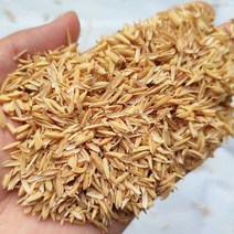 왕겨 대용량 멀칭 농장 닭장 축사 돈사 보온재 베개, 왕겨 20파운드