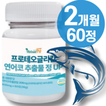 식약청 프로테오글리칸 연어코연골 추출물 2x 분말 비변성 2형 캡슐 관절 콘드로이친 글루타치온 글루코사미노글리칸 콜라겐 울트라 정 msm 알약외 정품 식약청인증 + 종근당 사은품, 1통_2개월, 1개