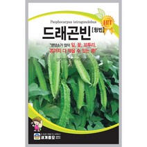 드래곤빈 씨앗 날개콩 씨앗 콩씨앗 콩 종자 30알, 1개