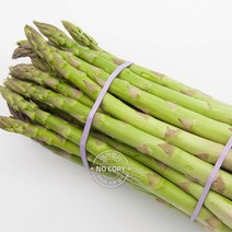 아스파라거스즙 건강간식 아스파라 식이섬유 아스파라거스효능 500g 아스파라거스 변비직빵 생아스파라거스, 단품, 단품
