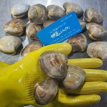 [통영수협84번중매인] 국물용 일품 조개 적극추천 백합 백상합 1kg