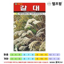 헬프팜 흰강낭콩 600g 종자 씨앗 아람종묘