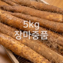 태산농장 마 안동마, 1개, 5kg (장마 중품)