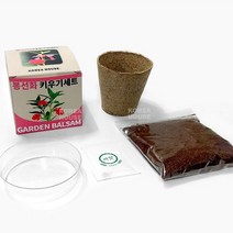 미니 화분 키트 봉선화 자연분해 화분 반려식물 키우기 세트, 단품