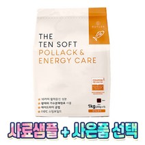 더텐 소프트 사료 1kg 기능성 강아지사료 + 사료샘플 + 증정 사은품, 황태&에너지 1kg+샘플2개, 원더푸드죽 1개(랜덤)