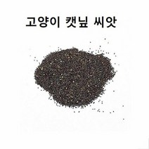 캣닢화분재배세트 반려묘 캣닙 씨앗 2g 캣닢화분 캣닢키우기 고, 색상:[색상]본상품