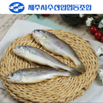 100% 국산 제주 참굴비 제주시 수협 제품 진공굴비 상(대) 사이즈 (19~22cm), 제주참굴비-5마리