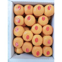 초고당도 제주도 고급 감귤 노지귤 특1등급 프리미엄 하우스감귤 1KG 3KG, 제주특산 감귤 노지귤 1kg