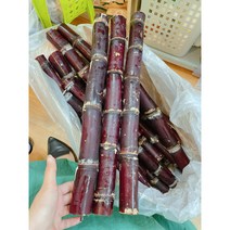 아시안푸드 베트남 사탕수수 10kg, 1박스