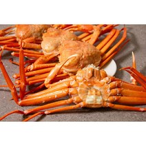 포항 구룡포 자숙 홍게, 6~70%(일반용3kg10~12마리)