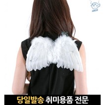 파티 팅커벨 키즈 세트 요정 어린이 아동 분장소품 깃털 할로윈천사날개, 고래Living, 단일옵션