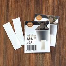 [꿈쟁이] 부직포 심지10개입(저면관수용)