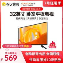 100인치 TV 대형 티비 교회 사무실 매장 업소용 가정용 Skyworth 쿨 오픈, 검은색, 공식 표준