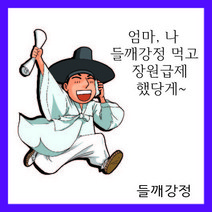 혁신적인 전통강정 자연의 맛 조청 기가막혀 최고의 영양식품 선물 고소한 맛 에스트로겐식품 산야씨넷 들깨강정