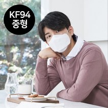 KF-94 숨쉬기편한 늘푸른마스크 무형광마스크 황사마스크 중형 대형 블랙 개별포장