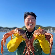 국내산 동해바다 제철 대게 수율보장, 국산대게(자숙찜/찜비무료), 박달대게 대 3마리(자숙)_수율90%내외