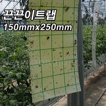 한누리팜마트/끈끈이트랩 (50장) 150mmx250mm/흰나방/온실가루/응애, 1개