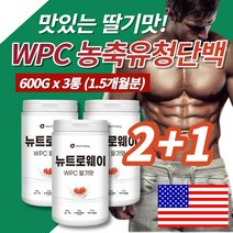 코스트코 단백질 쉐이크 프로틴 여자 남자 벌크업 운동보조제 딸기맛 초코맛 농축유청단백질 분말 가루 필수아미노산 비타민, 600g, 3통(딸기맛)