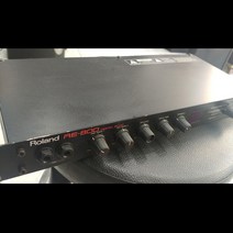 Roland RE-800