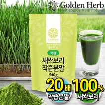 골든허브 새싹보리 착즙 분말 가루 어린잎 보리순, 500g, 1개