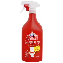 [다전상회] 홈.스타 뿌리는 곰팡이싹 750ml 락스세제 곰팡이제거_ 2023939EA, ★DJ  1, ★DJ  본상품선택