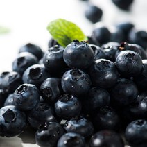 수입산 생 블루베리 125g x4팩, 4개