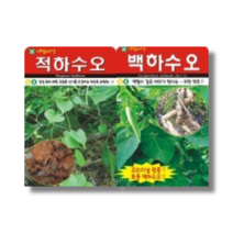 아람종묘 백하수오 씨앗 100립 적하수오 씨앗 50립 [22년포장] 상품